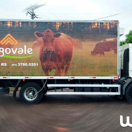 Adesivação de Frotas